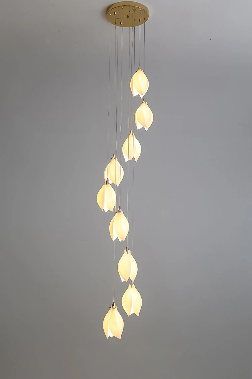 Product image 45